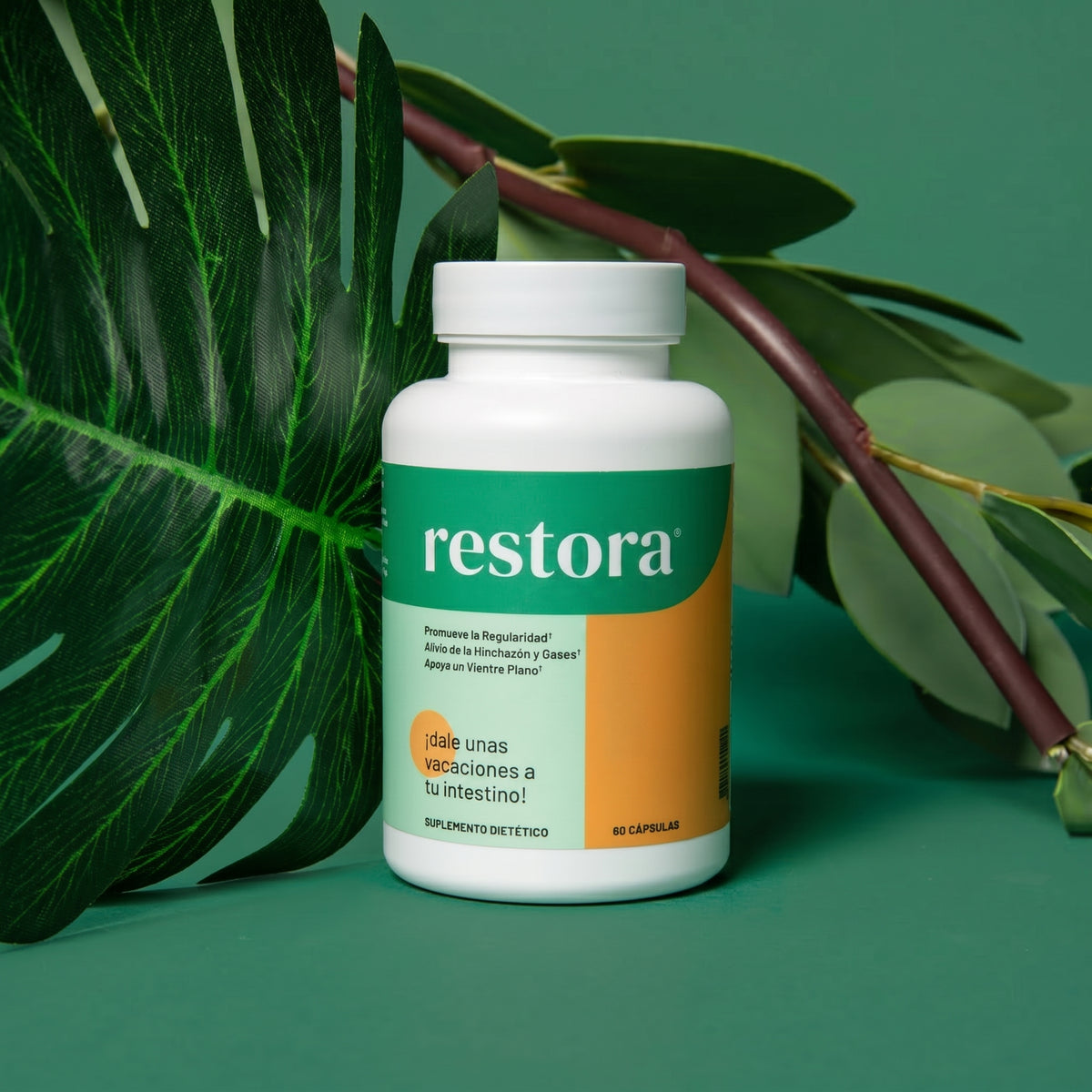 Restora | ¡Sacá esa caca pegada de una vez! – Restora Labs